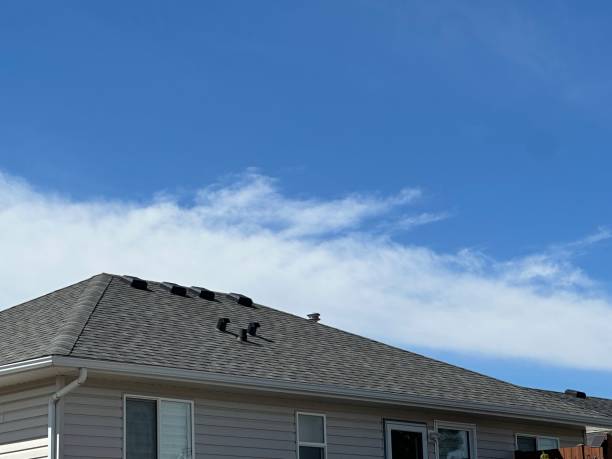 Best Skylight Installation and Repair  in Arkansas City, KS